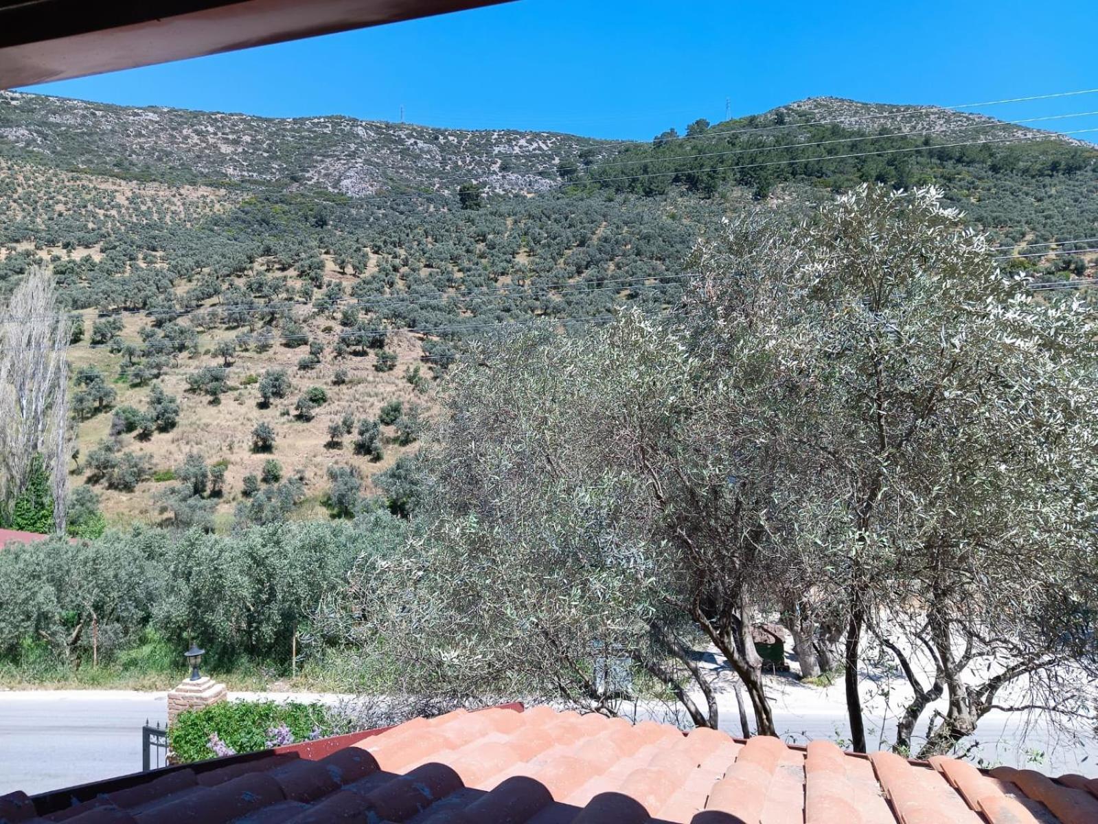 Sirince Klaseas Hotel&Restaurant Selcuk Exteriér fotografie
